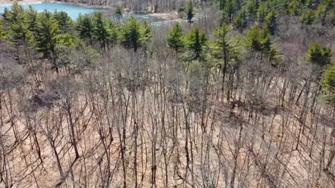 Flying Over Deciduous Oak and Pine Forest Towards Reservoir Video stock 236337288