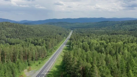 Flying over the dense forest and highway in the evening. Stock Footage 113645393