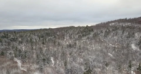 Flying over a dense forest mountain just after a snowstorm in winter Video stock 124831674