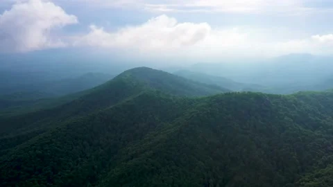 Flying over a dense forest of mountain peaks Stock Footage 150516146
