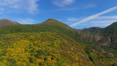 Flying Over Dense Forest In The Mountain Range In Summer. - aerial shot Vidéo 339205112