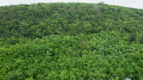 Flying over a dense green forest Stock Footage 109202306