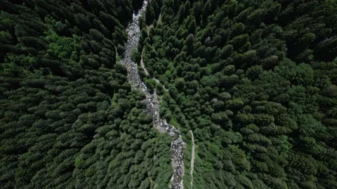 Flying over a densely wooded river valley in the mountains Stock Footage 234204988