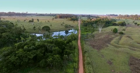 Flying over dirt road in amazon forest Stock Footage 76975681