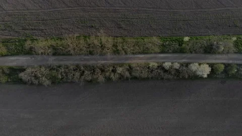 Flying over a dirt road surrounded by trees Video stock 232719402