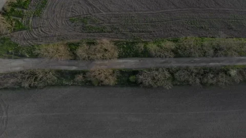 Flying over a dirt road surrounded by trees Video stock 232719836