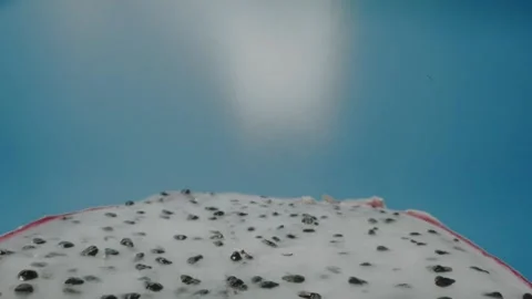 Flying over a dragon fruit (Pitaya) slice on blue background. Macro slider Video stock 255136914