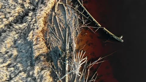 Flying Over Driftwood Washed Up On Muddy Riverbank, Tracking Aerial Vidéo 167874671