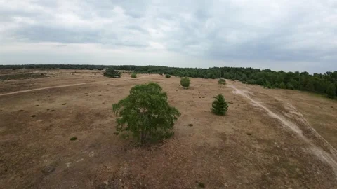 Flying over dry grass Video stock 247770009