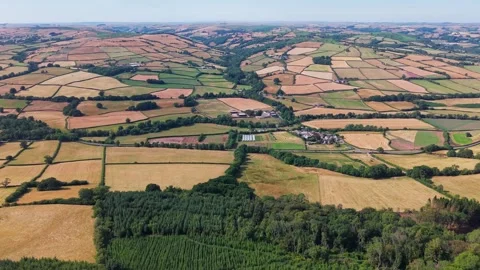 Flying Over Dry Rural Fields and Rolling Countryside Hills, Aerial View Stock Footage 341774286