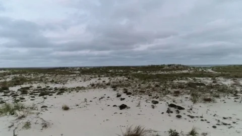 Flying over the Dunes Stock Footage