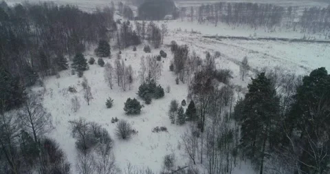 Flying over the edge of the forest, with active snowfall Stock Footage 147696912