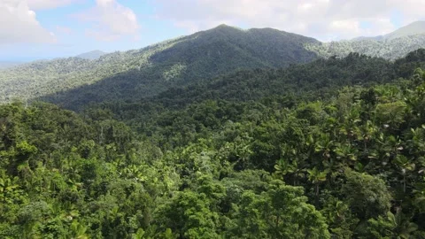 Flying over El Yunque Rainforest Puerto Rico 4K Aerial Drone Shot Stock Footage 150465360