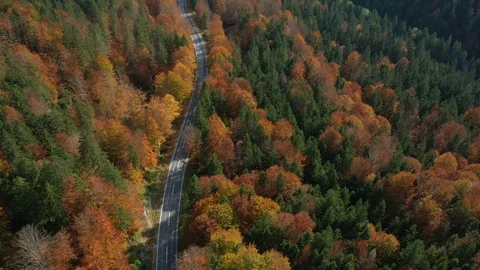 Flying over the empty autumn road 3 Stock Footage 120573721
