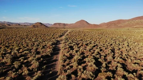 Flying Over Empty Dirt Road in the Desert of Nevada by Pyramid Lake - Aerial Stock Footage 114738941