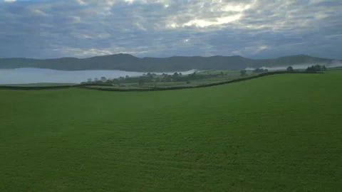 Flying over empty road with rise revealing green patchwork fields, mist in Stock-Footage 248494887