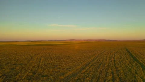 Flying over endless autumn fields. Farm fields. Stock Footage 142889469