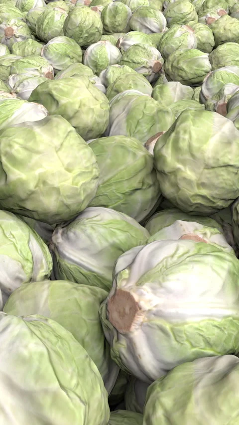 Flying over endless cabbage pile - 3d render looped. Stock Footage 305645018