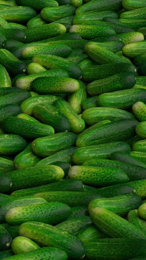 Flying over endless cucumbers pile - 3d render looped. Stock Footage 340863360