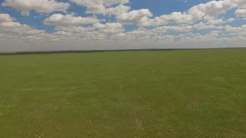 Flying over the endless green field Vidéo 130289113