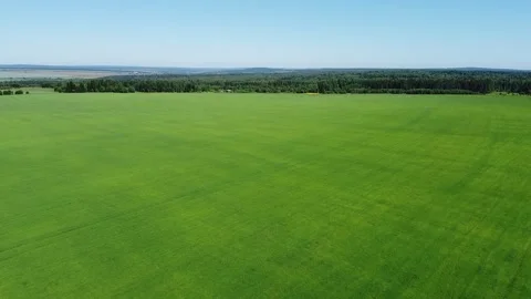 Flying over endless green fields Stock Footage 133219484