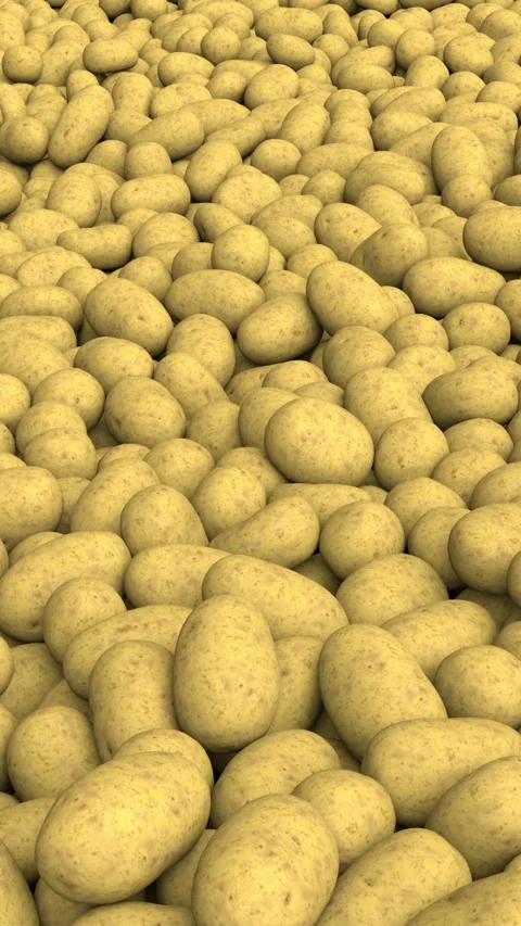 Flying over endless potato pile - 3d render looped. Stock Footage 305558697