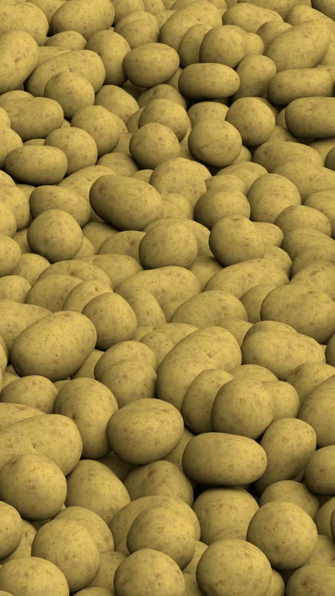 Flying over endless potato pile - 3d render looped. Stock Footage 324862136
