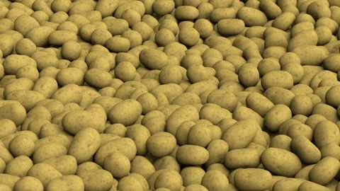 Flying over endless potato pile - 3d render looped. Video stock 324862142