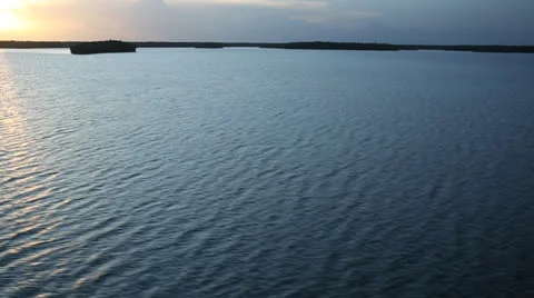 Flying Over Everglades During Beautiful Sunset Vídeos de archivo 26201157