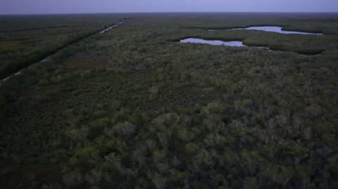 Flying Over Everglades Stock Footage 26244985