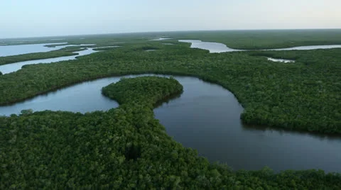 Flying Over Everglades Rivers 動画素材 26244987