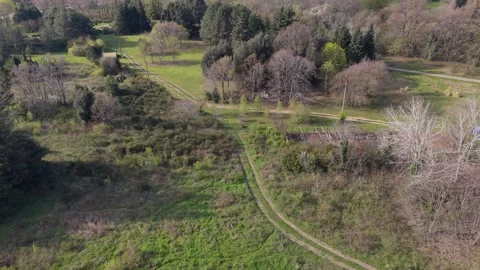 Flying Over Evergreen Forest Trees During Bright Sunny Spring Morning Adventure 库存影片 334803334
