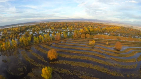 Flying over fall color trees water agriculture lands Vídeo Stock 240163533