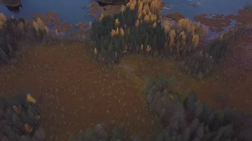 Flying over fall forest. Firs and yellow birches around a blue lake. Aerial shot Stock Footage 86155565