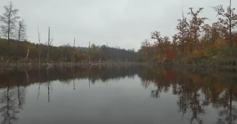 Flying over fall forest river Stock Footage 58945137
