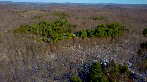 Flying over fall winter forest drone shot Video stock 224505602
