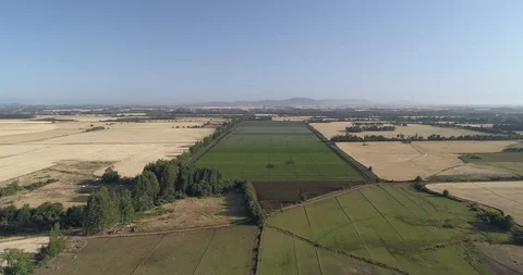 Flying over a farm - Chile Stock Footage 124858726