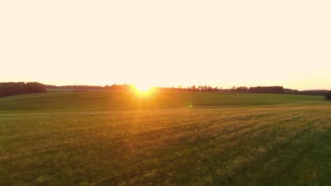  Flying over farm fields. Sunset  Stock Footage 238821986