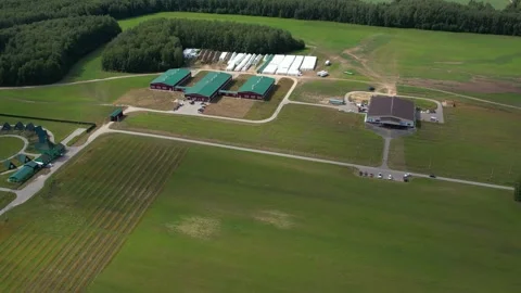 Flying over a farm producing cheese.Cheese farm.Green fields.Nature.Aerial photo Видео 158815313