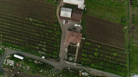Flying over the farm up, straight down view. View of houses, fields, vineyards,  Stock Footage 125338674