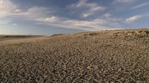 Flying over a few lonely cows grazing in the dusty desert with snowy mountains Stock Footage 124875189