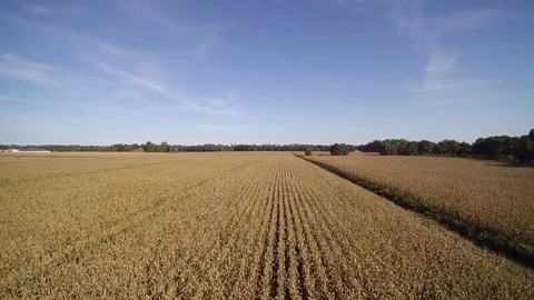 Flying over a field 1 Stock Footage 70990082
