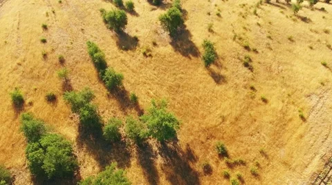 Flying over an field aerial view Stock Footage 65068359