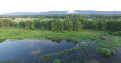 Flying over the field and the river Stock Footage 68251906