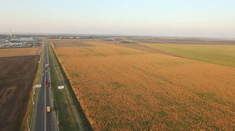 Flying over the field and road 動画素材 38604208
