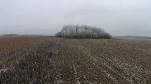 Flying over the field and trees in the frost Stock Footage 45996203