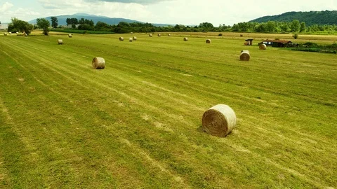 Flying over a field with bales Stock Footage 95170492