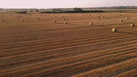 Flying over a field with bales, which is waiting to be collected Stock Footage 182995092
