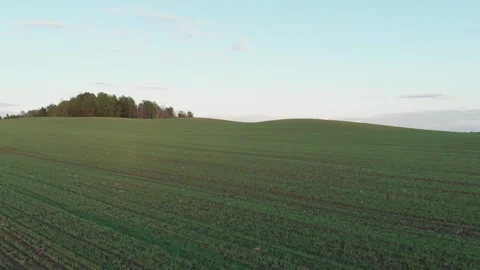 Flying over a field between uplands, opening up a forest on the horizon. Stock Footage 131367790