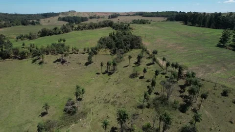 Flying over a field in the contry Stock Footage 221518255